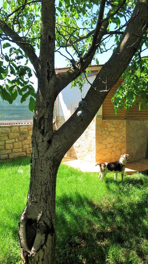 Rukavina Apartman *